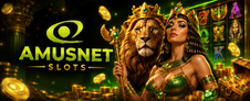 AMUSNET